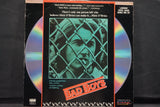Bad Boys USA ID6847HB