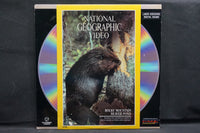 National Geographic Video: Rocky Mountian Beaver Pond USA ID6176VE