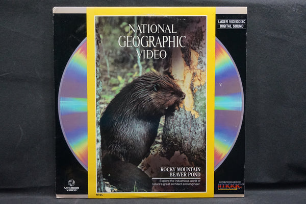 National Geographic Video: Rocky Mountian Beaver Pond USA ID6176VE