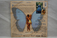 Angels & Insects USA ID3313HL