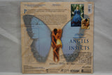 Angels & Insects USA ID3313HL