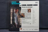 Cool Hand Luke USA 14300