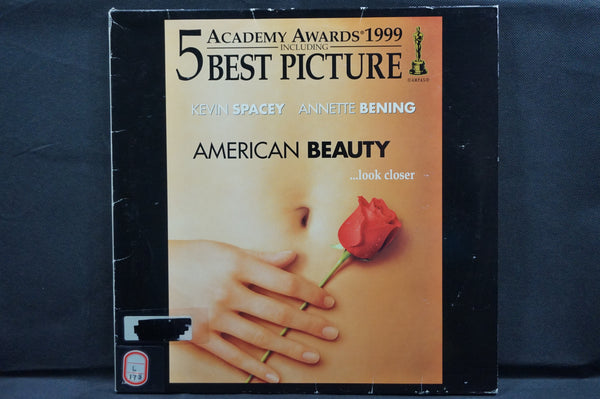 American Beauty JAP PILF-2856
