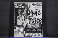 Brute Force USA RGL 9506