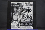 Brute Force USA RGL 9506