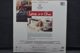 Love Is A Gun USA LDCVM5807