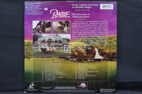 Babe USA 42692