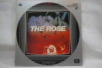 Rose, The JAP FY527-35MA